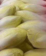 André Claude image 2