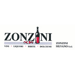 Zonzini Silvano logo