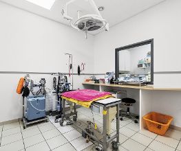 Salle d'opérations- Cabinet vétérinaire des Deux communes - Dr. Doris Hugi
