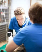 Harbor Animal Hospital image 7