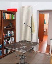 Tiertreff Nürnberg Bild 1