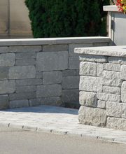 Bütikofer Blumen + Gartenbau AG Bild 4