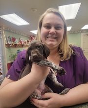 Athens Animal Clinic image 1