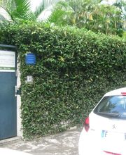 Robert-Hoarau Claudine image 3