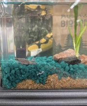 Fullerton Ace Hardware image 9