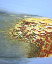 Salonkultur Nürnberg