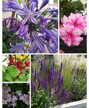 Prévet Paysages image 14