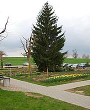 Pflegeheim Maggenberg Bild 4