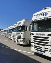 TFMO image 3
