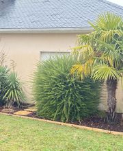 LOUBIERE DOMINIQUE image 1