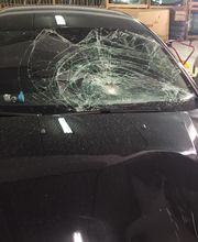 junited AUTOGLAS Leipzig-Neulindenau Bild 10