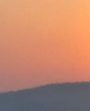 Stefan Prescher - Dozent mal ANDERS Bild 5