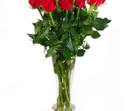 Amour De Fleurs Le Cuff Suignard image 8