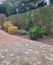 ABJM Services image 5