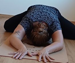 yogamobil Bild 2