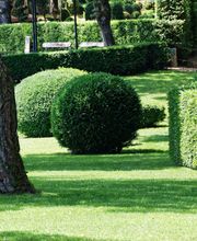 Immergrün Pool-, Garten- und Umwelttechnik Bild 2