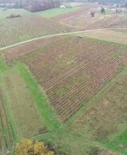 Citeau Christophe image 14