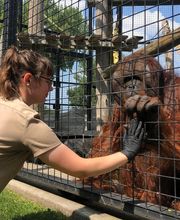 Chahinkapa Zoo image 3