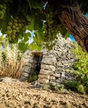 Les Collines du Bourdic SARL image 5