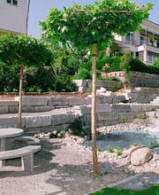 Bernet Gartenbau AG Bild 10