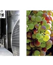 bvm Bartz Versicherungsmakler GmbH Bild 1