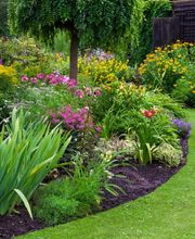 Debrosse Paysage image 1