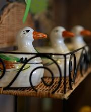 CATISHOP.CH di Caritas Ticino Bild 9