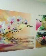 Signa Vision image 5