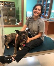 Wellspring Animal Hospital image 1