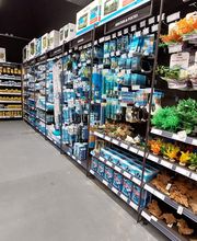 Tom&Co Lens image 14