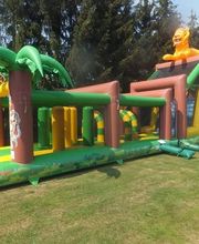 Der Hüpfburgexperte Bild 1