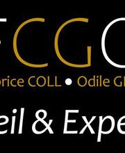 Cabinet Odile GRIL et Fabrice COLL - FCGO CONSEIL ET EXPERTISE image 1