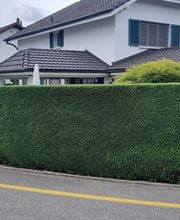 Gardenking GmbH Bild 2