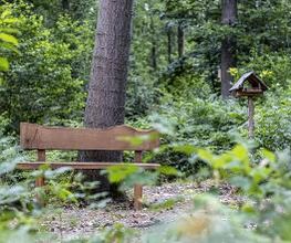 FriedWald Oberau Bild 7