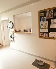 ZeVet - Cabinet vétérinaire Bild 10