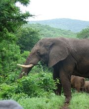 Loosli Reisen Bild 10