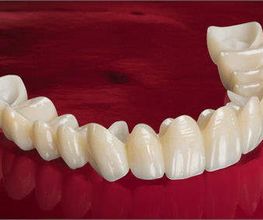229678255-1-dbmDAbcz1U1644432141682.jpeg