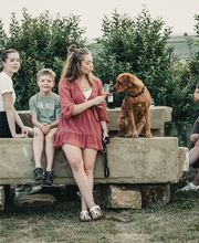 Weingut Schmitt Bergtheim Bild 1