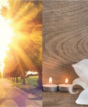 Bestattungshaus Brunner & Stiefel GmbH Bild 2