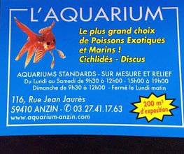 L Aquarium image 1