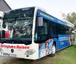 Springhorn Reisen Bild 4