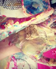 Fusillier Adeline image 20