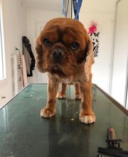 Chez Miss Perle image 15