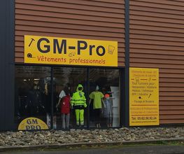 Gm Pro image 3