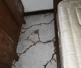 Protection Termite image 20