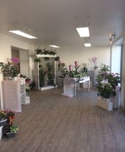 Le temps des Fleurs image 5