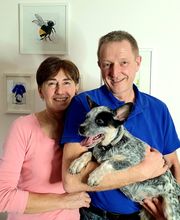 MenschUndHundZentrum Bild 39