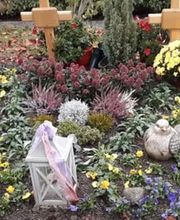 Gartenbau Felsberg GmbH Bild 4