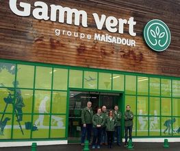 GAMM VERT image 1