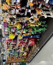 Tom&Co Chasse sur Rhône image 4